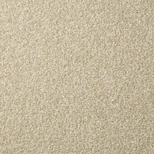 Carpet Showroom Exeter