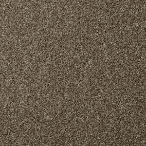 Carpet Shop Exeter