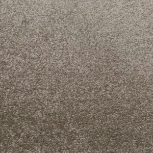 Carpet Showroom Exeter