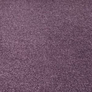 Carpets Shop Exeter