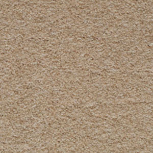 Carpet Showroom Exeter
