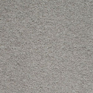 Carpets Shop Exeter
