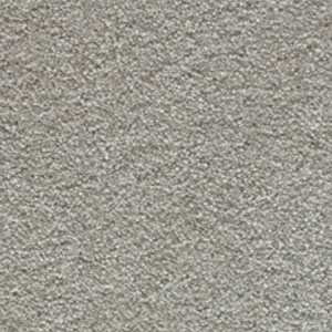 Carpets Shop Exeter