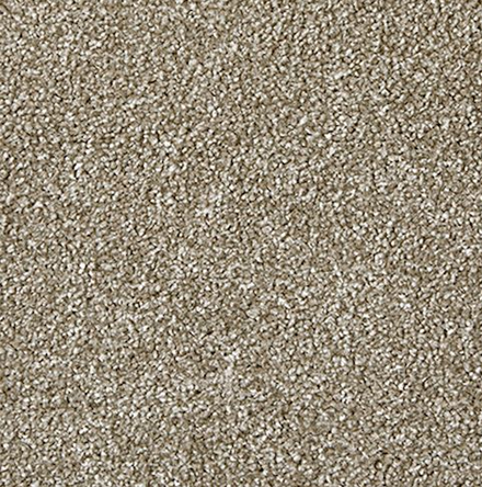 Carpet Showroom Exeter