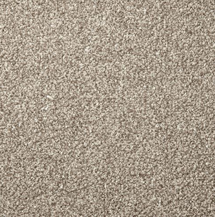 Carpet Showroom Exeter