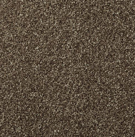 Carpet Showroom Exeter