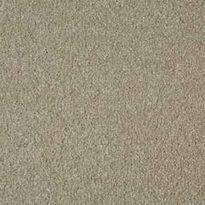Carpets Shop Exeter