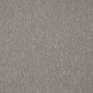Carpets Shop Exeter