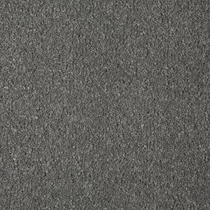 Carpets Shop Devon